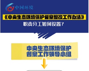 中央生态环保督察整改中，各级各部门职责分工是什么？