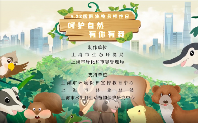 上海COP15大会主题宣传片