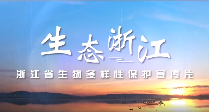 浙江COP15大会主题宣传片