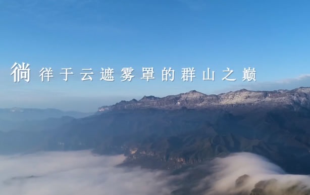 重庆COP15大会主题宣传片