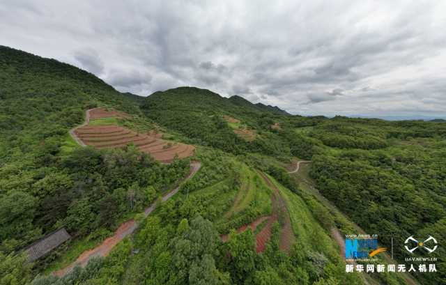 【“飞阅”中国】甘肃成县：初夏雨后“铺”青绿