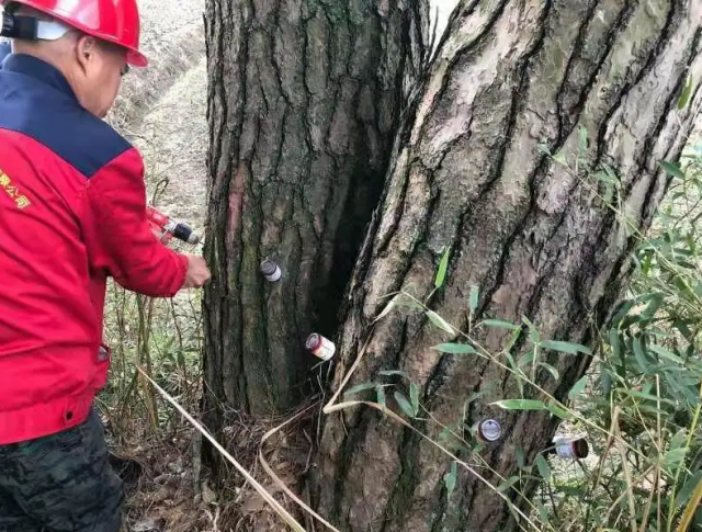 全国松材线虫病疫情发生面积和病死树数