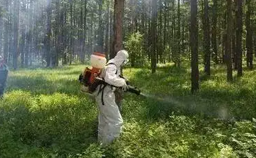 辽宁今年林业有害生物预测发生面积760万亩