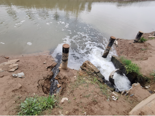 污水直排致黑臭，水藻肆虐如绿毯！黄河一级支流金堤河、天然文岩渠水生态环