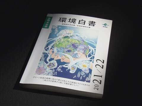 日本《环境白皮书》：2030年减排46%，加快