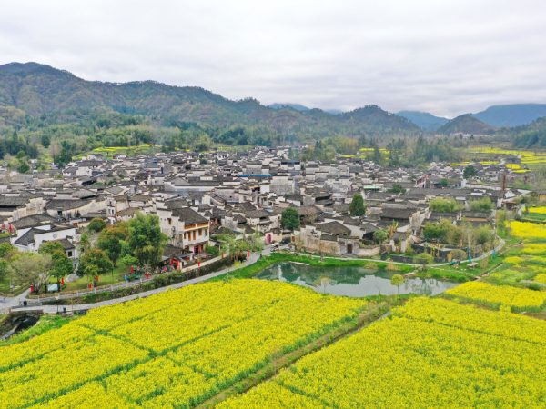 六五环境日丨亳州生态环境宣传“进社区”“进农村”