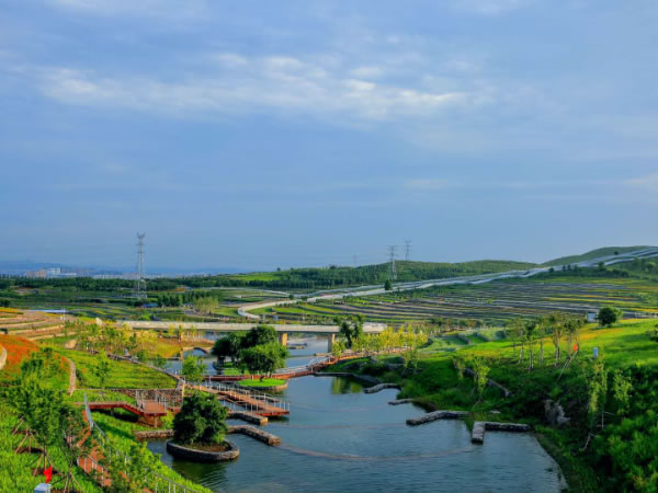 韩森：碳中和等目标的实现需要农业和粮食系统进变革丨国合会观点⑫