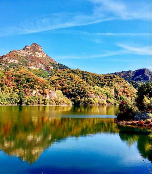 山东省委书记李干杰在中央生态环保督察整改推进会上强调 以督察整改为动力