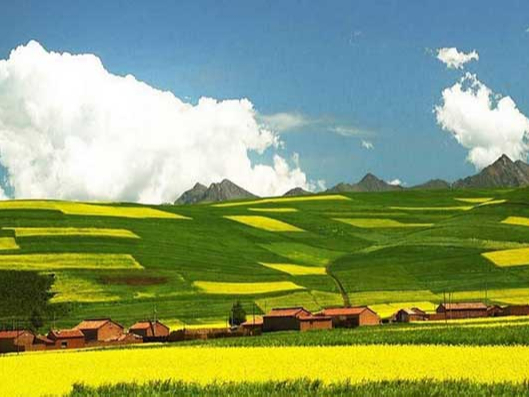 以服务促进督察整改见成效——生态环境部西南督察局督察四处党支部创建“服