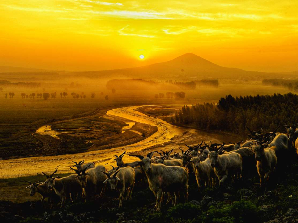 储能科学与工程、智慧林业……这些新专业，到底是干啥的？