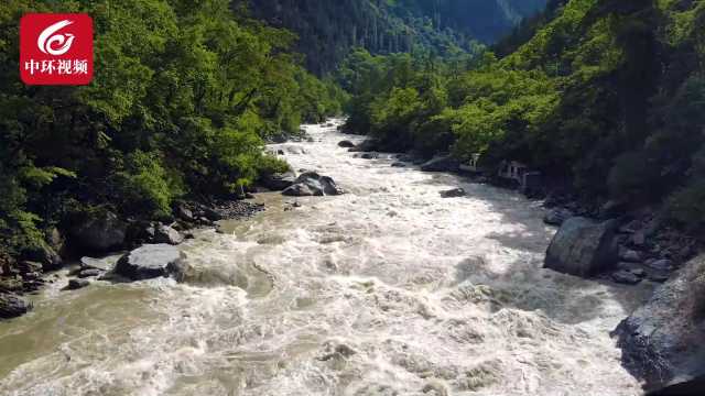 雅鲁藏布江河水反常浑浊竟与它有关？