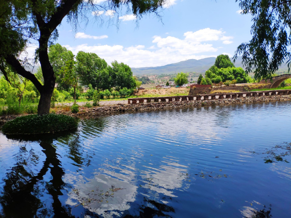 文山州“六子登科”让喀斯特上崛起新绿洲