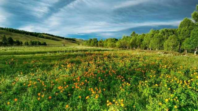 数据新闻 生态环境部7月例行新闻发布会