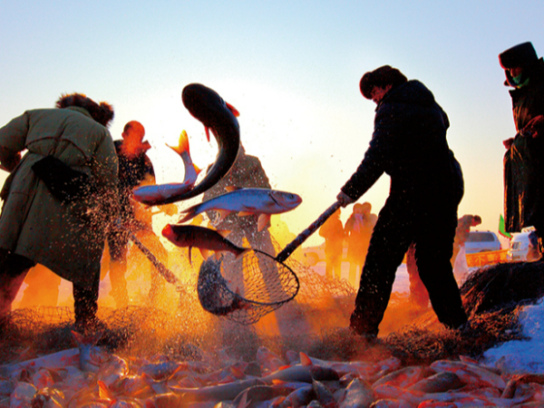 查干湖的绿色“加减法”