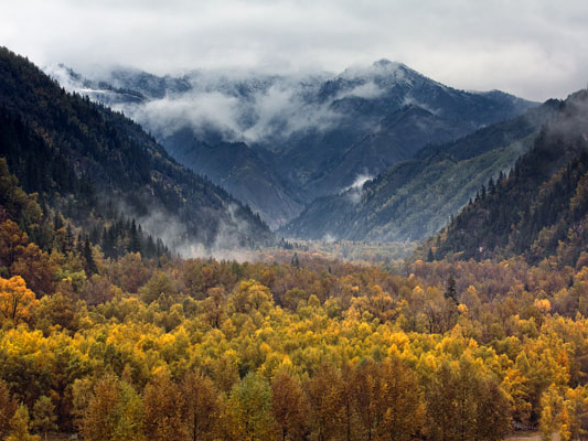 8月1日，《外来入侵物种管理办法》开始施行