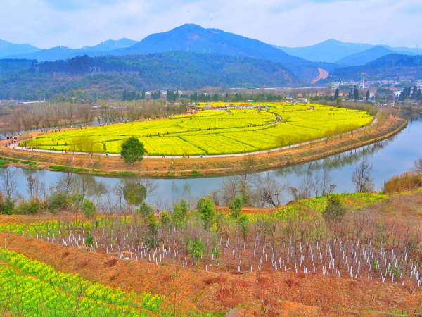 云南实施城乡绿化美化三年行动