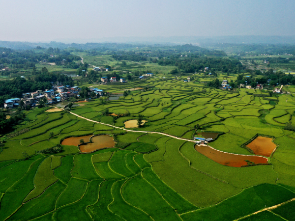聚焦重点领域生态环境问题，四川开展11个专项排查整治行动