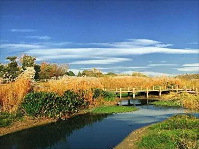 中国环境报评论：强化宏观思维，发挥督察的杠杆作用