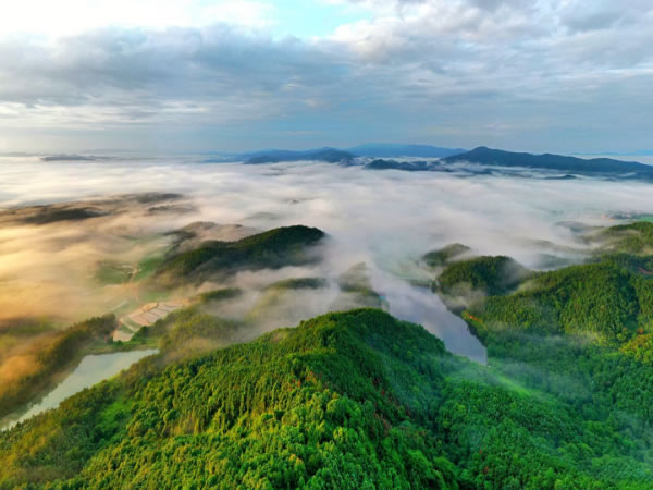 宁夏回族自治区生态环境厅副厅长陈建华：推动黄河流域先行区建设再上新台阶