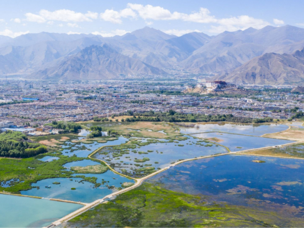 人民日报文章：守护好高原的生灵草木、万水千山