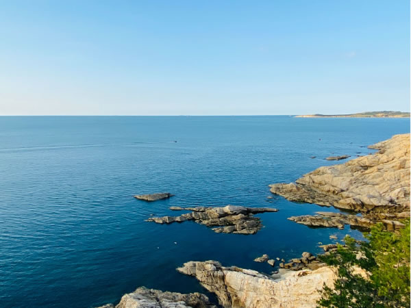 独家！环境规划院文章：因地制宜筑牢黄河上游生态安全屏障