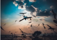 中国环境报文章|广东省环境科学研究院张修玉、关晓彤、郑子琪、庄长伟：如