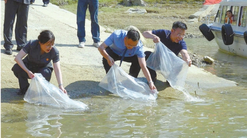 违反长江禁渔政策 打造“捕—运—销”黑色产业链