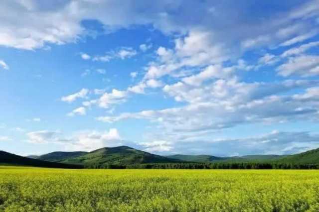 内蒙古自治区生态环境厅党组书记、厅长杨劼：着力打好黄河生态保护治理攻坚