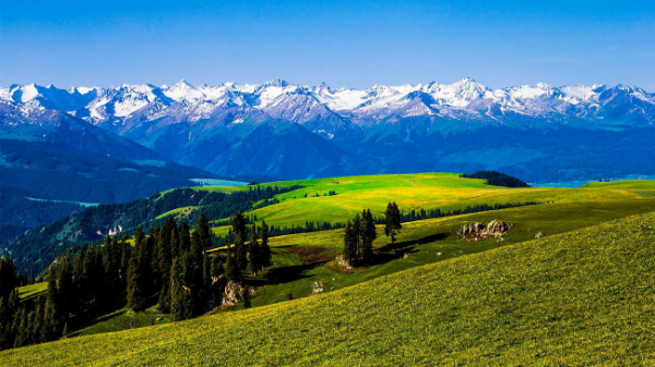 守护好大美新疆的绿水青山！新疆人大连续26年开展天山环保行执法检查