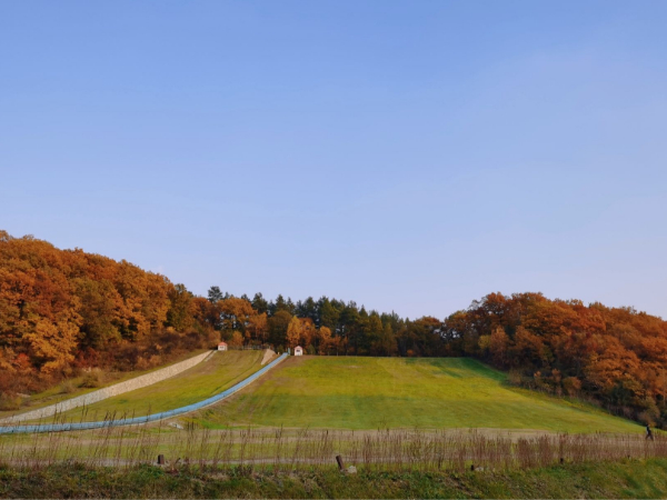 吉林省委书记景俊海：扎实推进生态强省建设，打造美丽中国吉林样板