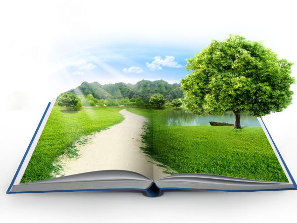 中国环境报评论！“取之有度，用之有节”统筹推进资源节约和生态环境保护