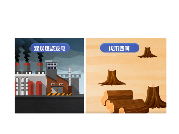 碳源、碳汇是什么？碳又是怎么循环的呢？