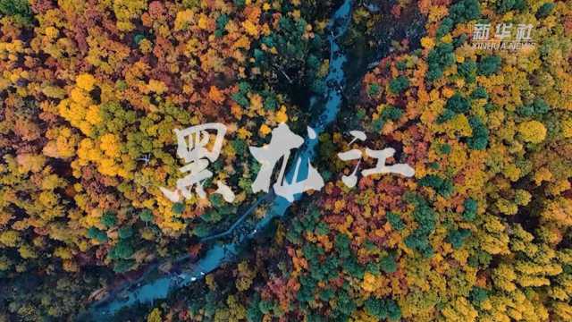 “欢度国庆·美丽中国”主题报道丨假期里邂逅“绿水青山”