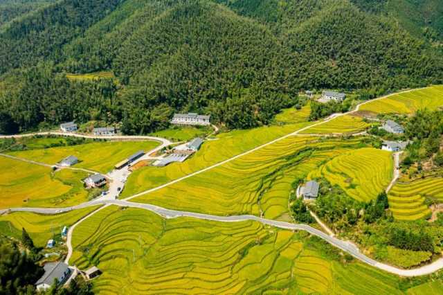 喜讯！我国再添四处世界灌溉工程遗产