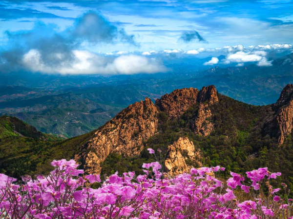 河北加快实施一批新能源项目，符合条件的将落实差别化环保管控政策