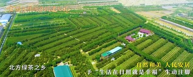 全国文明城市创建巡礼第46期｜山东省日照市：与文明相伴，和幸福同行