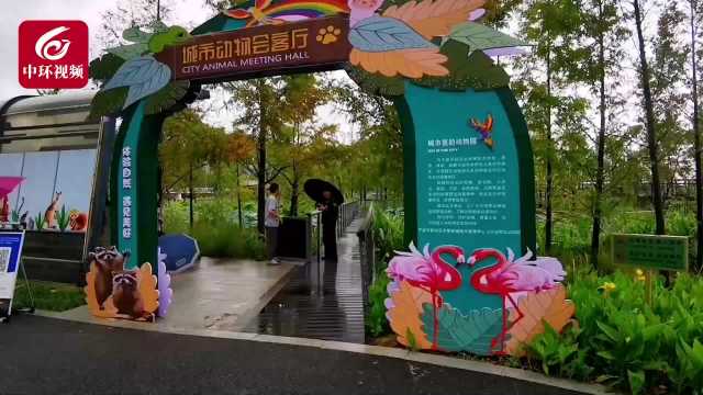 这里的“城市动物会客厅”免费开放，羊驼、浣熊等你来！