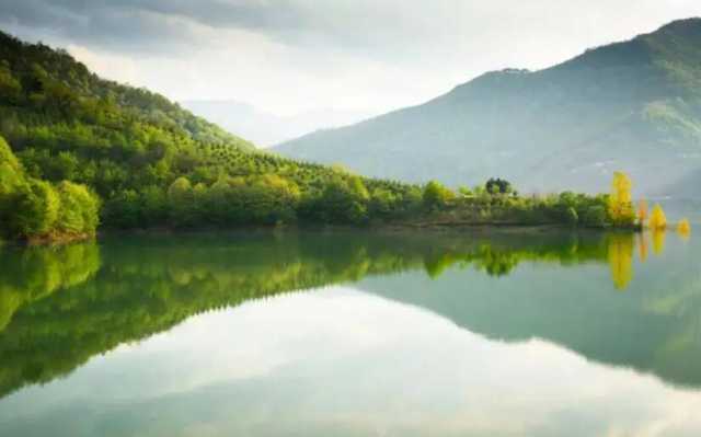 走出“各人自扫门前雪”的狭隘，完善生态补偿共护青山绿水