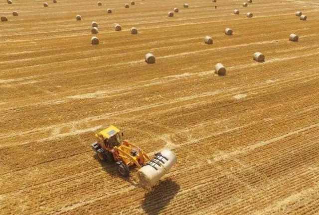 88.1%！我国农作物秸秆综合利用率稳步提升