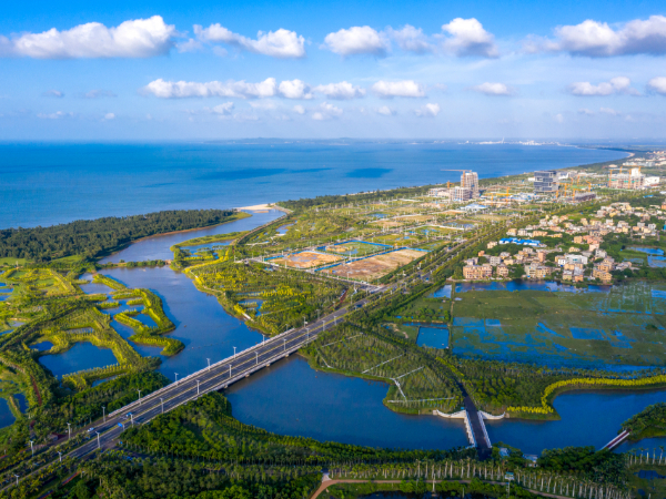 中国林业科学研究院研究员王登举：十年来，我国生态保护修复实现历史性转变