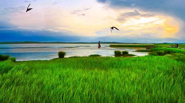 聚焦二十大丨京津冀协同发展：独乐乐不如众乐乐