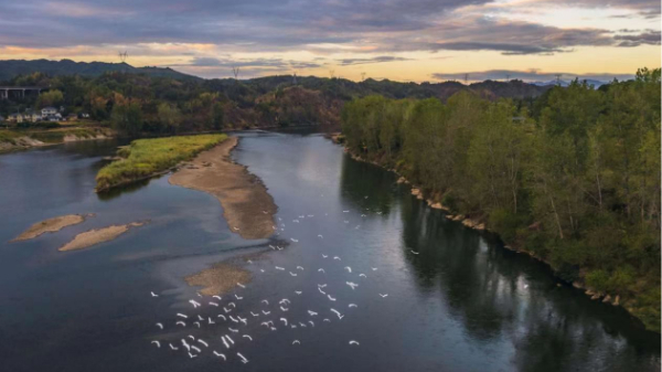 全国湿地保护规划印发：到2025年，全国湿地保护率达55%