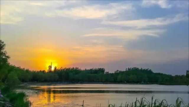 《生物多样性公约》缔约方大会第十五次会议主席、生态环境部部长黄润秋视频