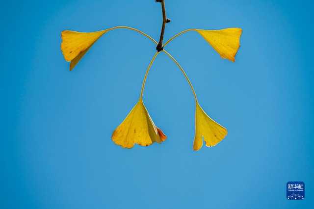 微视界——霜降