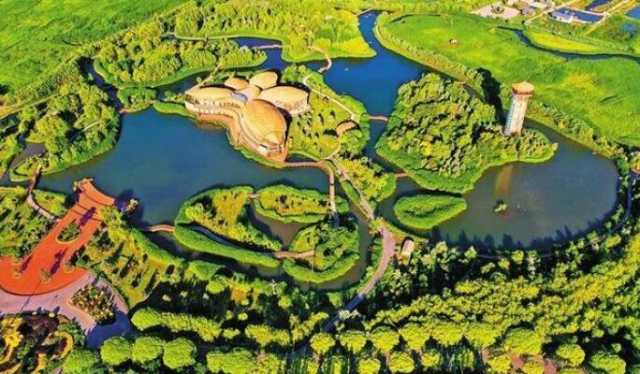 协同治理 守护大美湿地