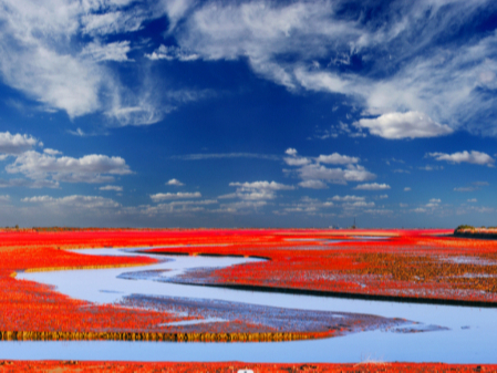 山东扎实推进黄河重大国家战略，打造绿色示范先行样本