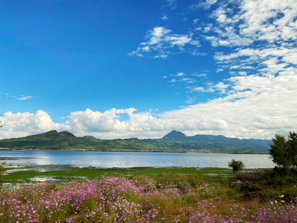 湖州市委书记陈浩：以“生态美”促进“共同富”