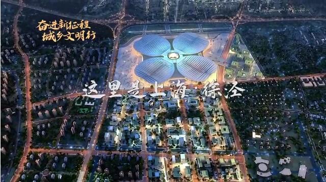 全国文明村镇创建巡礼第56期丨上海市青浦区徐泾镇：志愿同行 塑造文明之城