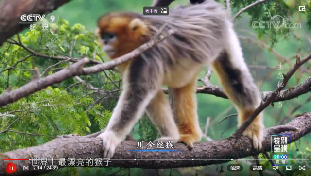视频丨《生态秘境》 第5集 天府之国