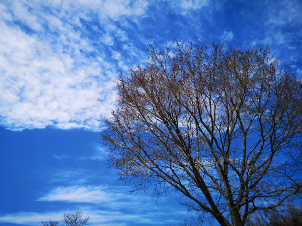 守住秋冬“红线” 黑龙江省生态环境厅督导绥化大气保障